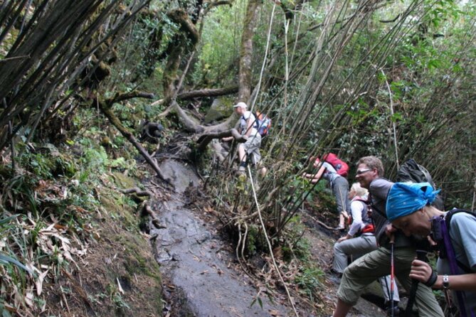 Fansipan Trek One Day Tour – Roof of Indochina - Should You Book This One-Day Fansipan Trek?