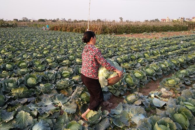 Farm tour & Home cooking class with local family in Hanoi - Key points at a glance