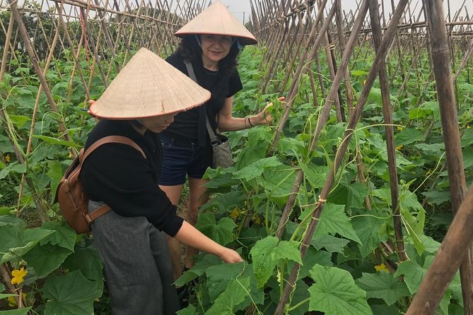 Farm tour & Home cooking class with local family in Hanoi - From Market Stalls to Real Ingredients in Hanoi