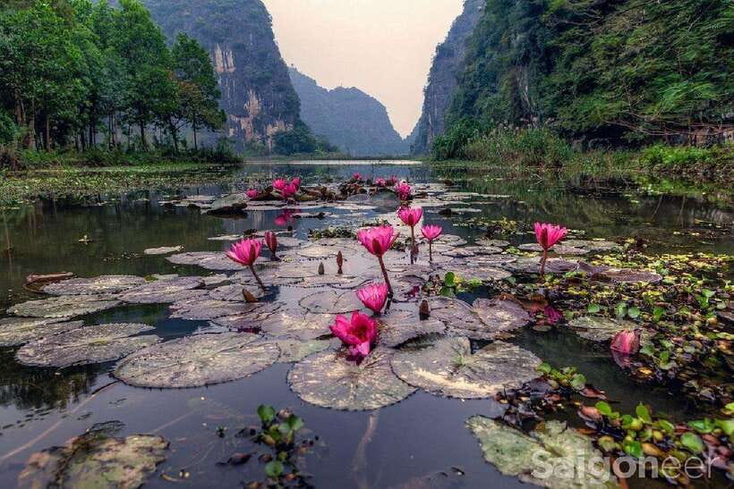 Friendly Travel: Ninh Binh/ Hoa Lu & Tam Coc/ Full Service - Key things that make this Hoa Lu + Tam Coc day trip click