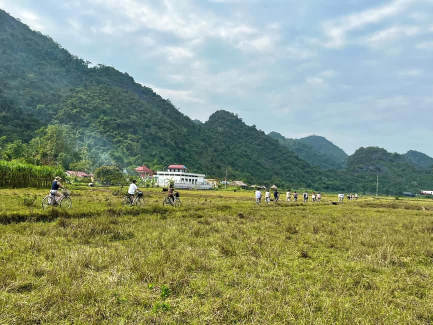 From Catba: Lan Ha Bay - Serenity Premium Cruise with Lunch - Lunch on the Boat: Cat Ba Seafood Done the Right Way