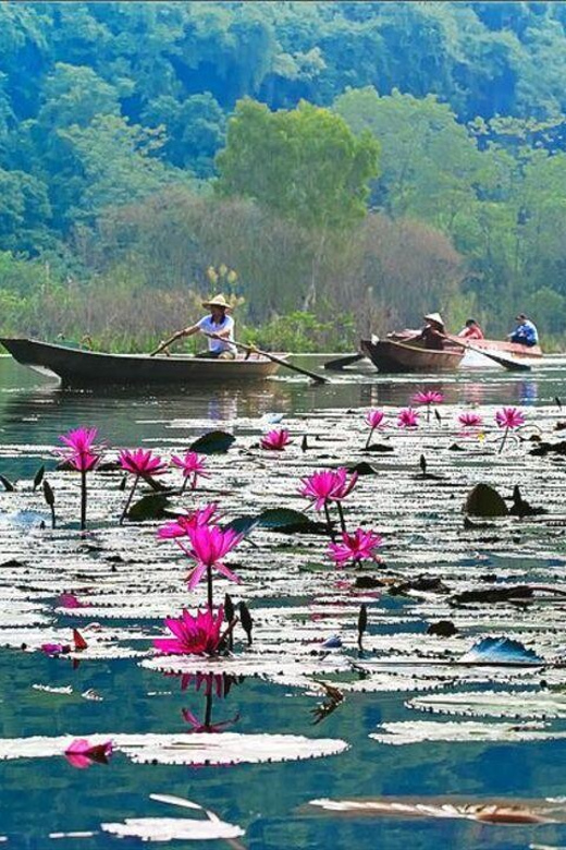 From Ha Noi: Perfume Pagoda – A Pagoda In Deep In A Cave - Why Perfume Pagoda Feels Different From Other Hanoi Excursions