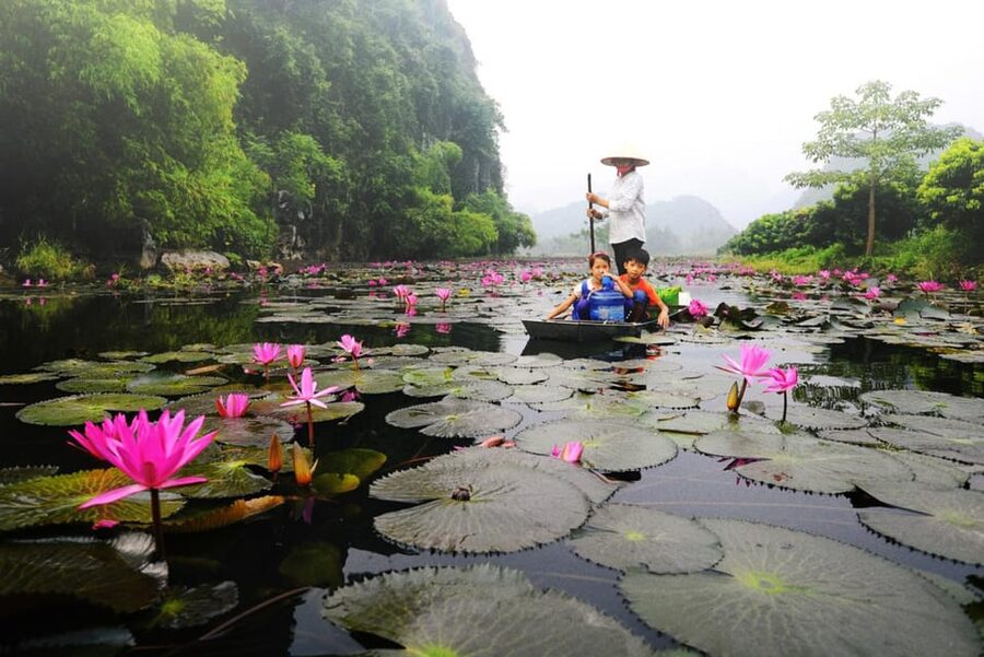 From Ha Noi: Perfume Pagoda – A Pagoda In Deep In A Cave - Thien Tru Pagoda and Lunch: Where the Pilgrimage Pace Resets