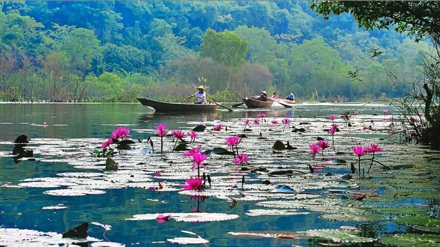From Ha Noi: Perfume Pagoda – A Pagoda In Deep In A Cave - The Hanoi-to-Dong Bac Ride: Comfort First, Scenery Second