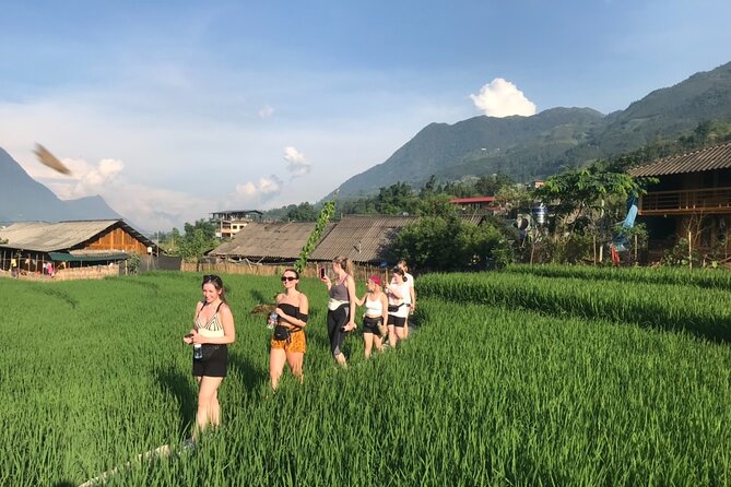 From Hà Nội : Sapa trek with local guide 2 days 1 night - Key highlights worth your attention