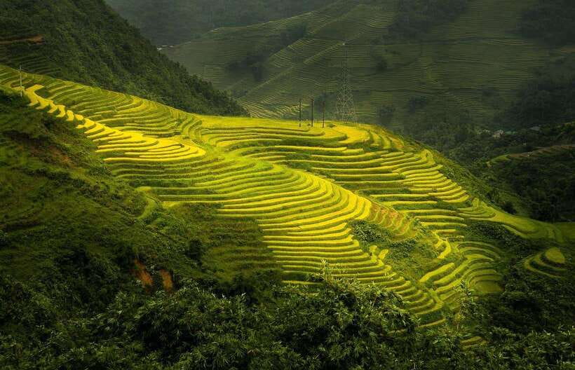 From Hanoi: 1-day Sapa Trekking Tour With Overnight Bus - Key points to know before you go