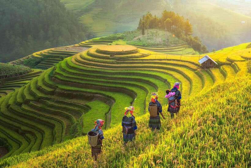 From Hanoi: 1-day Sapa Trekking Tour With Overnight Bus - Lao Chai to Ta Van: villages, ethnic diversity, and valley time