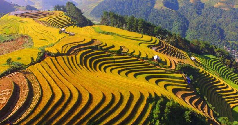 From Hanoi: 1-day Sapa Trekking Tour With Overnight Bus - Return to Sapa Town: closing the loop before the night bus