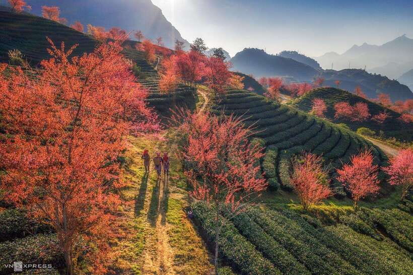 From Hanoi: 1-day Sapa Trekking Tour With Overnight Bus - What to pack for 11 km of Sapa trails (and possible mud)