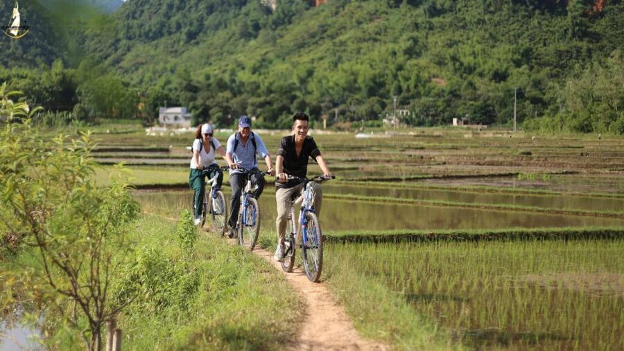 From Hanoi: 2-Day Ninh Binh Tour with Ha Long Bay Cruise - Food, comfort, and what to pack so you’re not miserable