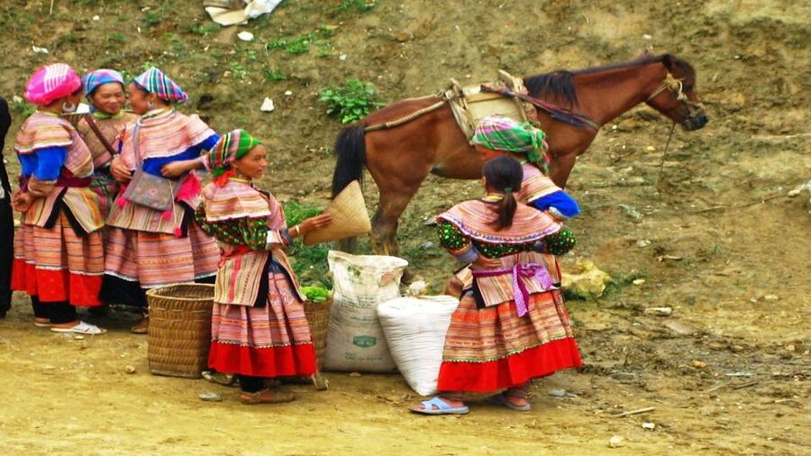 From Hanoi: 2-Day Overnight Sapa Tour by Limousine - Trekking reality check: km numbers, rain, and how to protect your knees