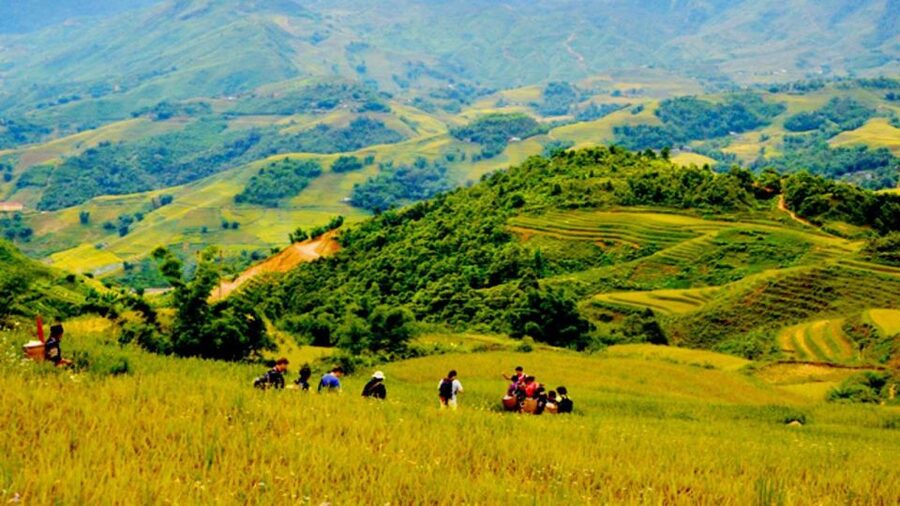 From Hanoi: 2-Day Overnight Sapa Tour by Limousine - How to make the village experience feel respectful (and less stressful)