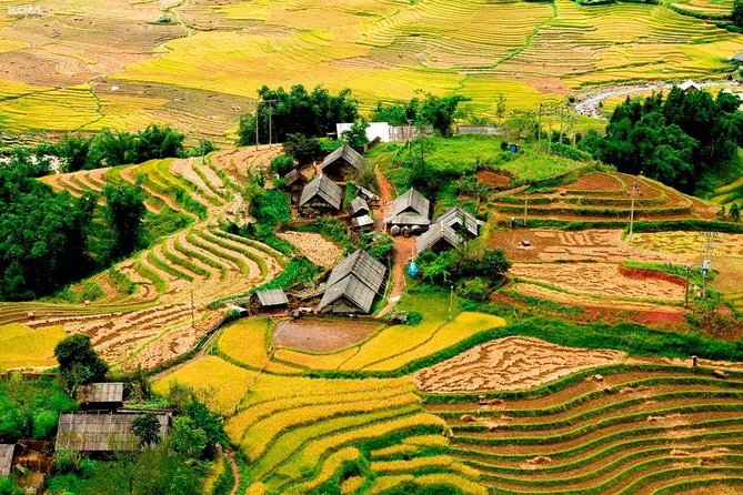 From Hanoi: 2-Day Overnight Sapa Tour by Luxury Van Limousine - Meals and entrance fees: included, but don’t ignore the fine print
