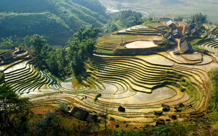 From Hanoi: 2-Day Sapa Cultural Exchange Tour with Homestay - From Hanoi to Sapa: the overnight ride that sets the rhythm