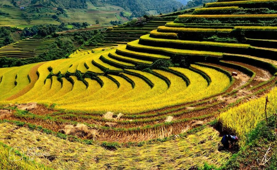From Hanoi: 2-Day Sapa-Fansipan Peak & Trek & Ha Giang Bus - Should You Book This Hanoi–Sapa–Fansipan–Trek Trip?