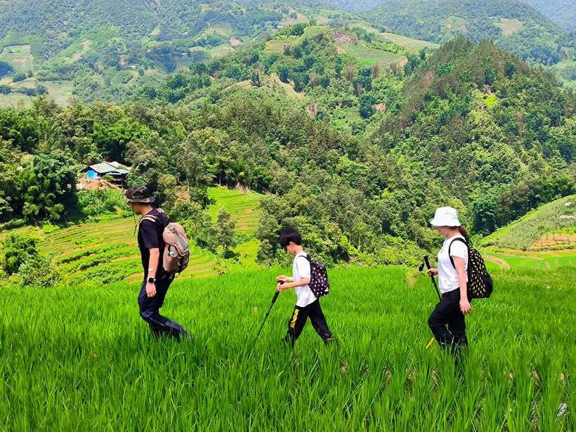From Hanoi: 2-Day Sapa Trek Tour - Luxury Limousine Transfer - Food, entry tickets, and the little things that affect your day