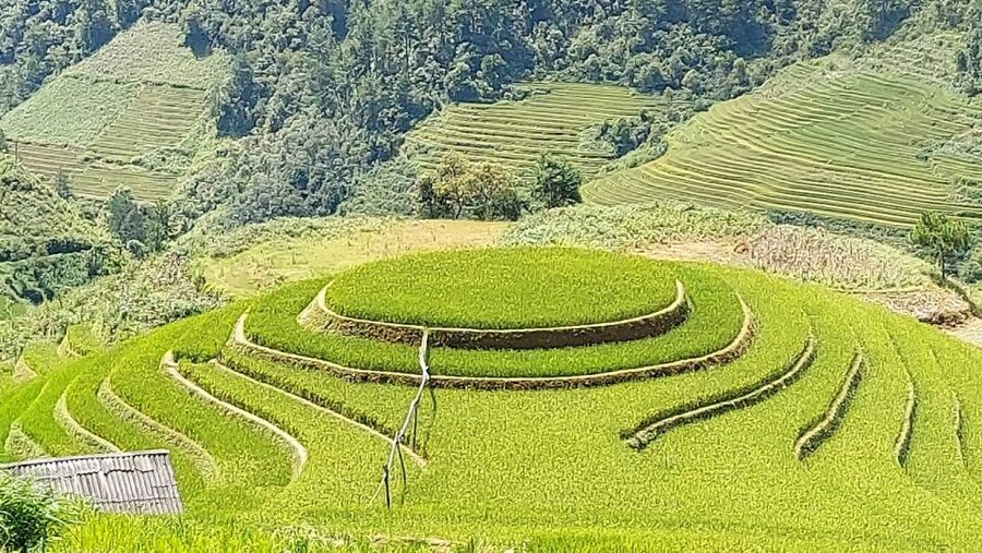 From Hanoi: 2 Day Sapa Trekking To Village & Bungalow, Meals - FAQ