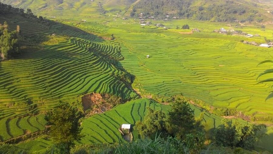 From Hanoi: 2 Day Sapa Trekking To Village & Bungalow, Meals - A Smooth Hanoi-to-Sapa Trek That Still Feels Like Sapa