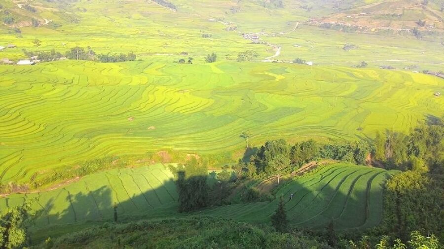 From Hanoi: 2 Day Sapa Trekking To Village & Bungalow, Meals - Ta Van Homestay: Why This Stop Makes or Breaks the Trip