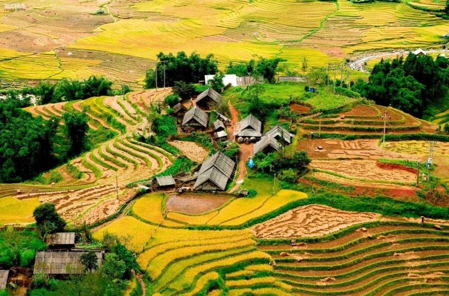 From Hanoi: 2-Day Sapa Trekking Trip with Homestay & Meals - Key highlights that matter