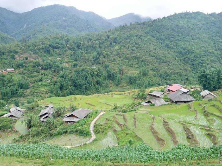 From Hanoi: 2-Day Sapa Trekking Trip with Homestay & Meals - Price and value: is $71 worth it?