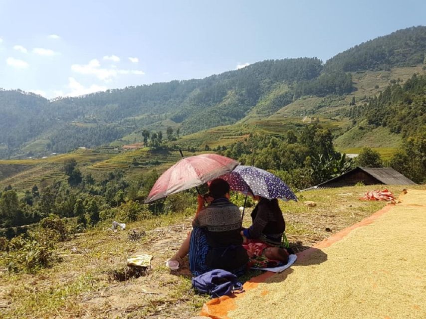 From Hanoi: 2-Day Trekking To Villages In Sapa with Homestay - Should you book this 2-day Sapa trek with Ta Van homestay?