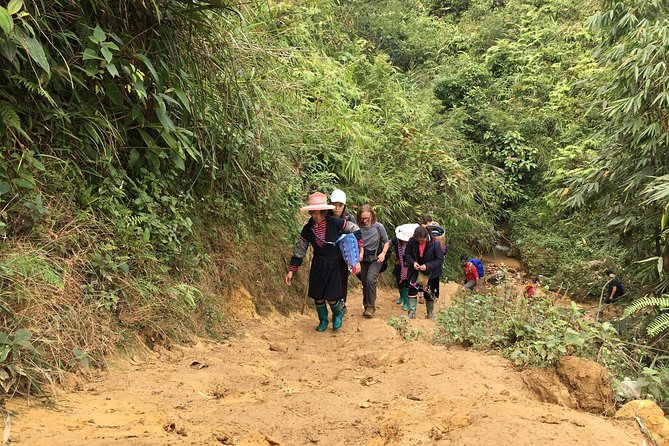 From Hanoi: 2 Days Luxury Sapa Trek & Fansipan Peak with Dcar - Lao Chai and Ta Van: rice terraces and different ways of life