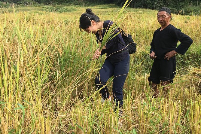 From Hanoi: 2 Days Sapa Trek & Fansipan Adventure with Dcar - Pace, Physical Fitness, and What to Pack