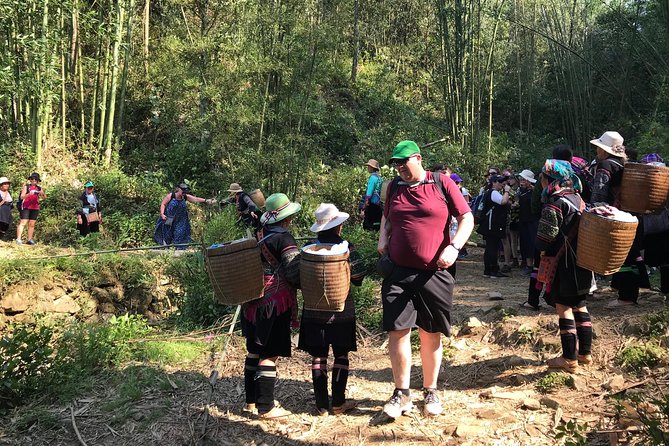 From Hanoi: 2 Days Sapa Trek & Fansipan Adventure with Dcar - Day One Downhill to Cat Cat: Valley Views, Stilt Houses, Crafts, and Waterfall