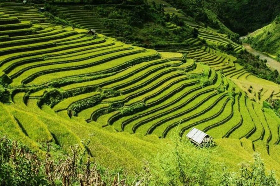 From Hanoi: 2-Days Sapa Trekking Tour Lao Chai and Cat Cat - From Hanoi to Sapa by Luxury Limousine: the ride you should plan for