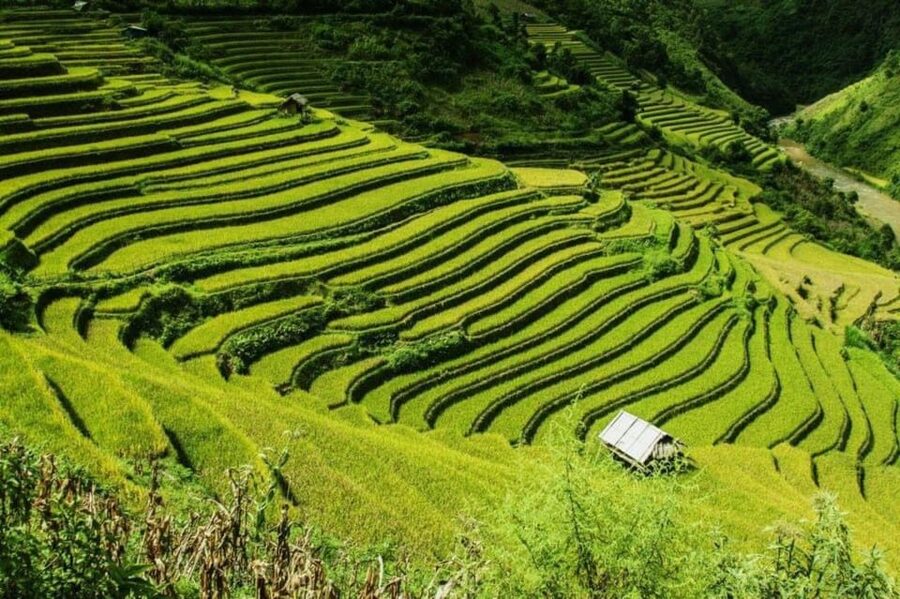 From Hanoi: 2-Days Sapa Trekking Tour Lao Chai and Cat Cat - Cat Cat Village trek: waterfall views and French hydraulic history