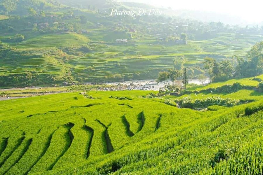 From Hanoi: 2-Days Sapa Trekking Tour Lao Chai and Cat Cat - Ta Van Bridge pickup and the return to Sapa center