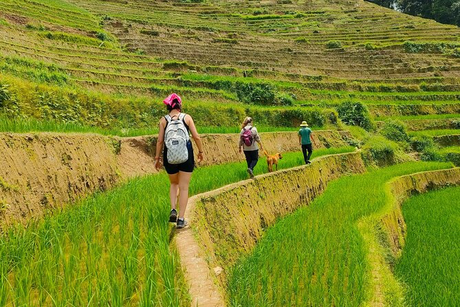 From Hanoi: 2D1N Mu Cang Chai Private Trekking & Homestay - Key highlights to know before you go