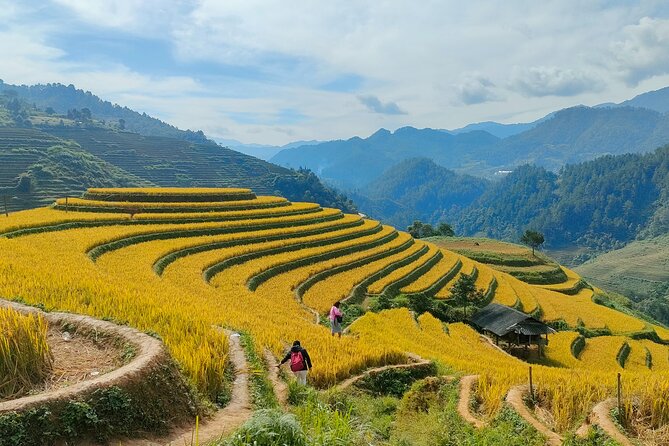 From Hanoi: 2D1N Mu Cang Chai Private Trekking & Homestay - Customizable flexibility: ending where you want next