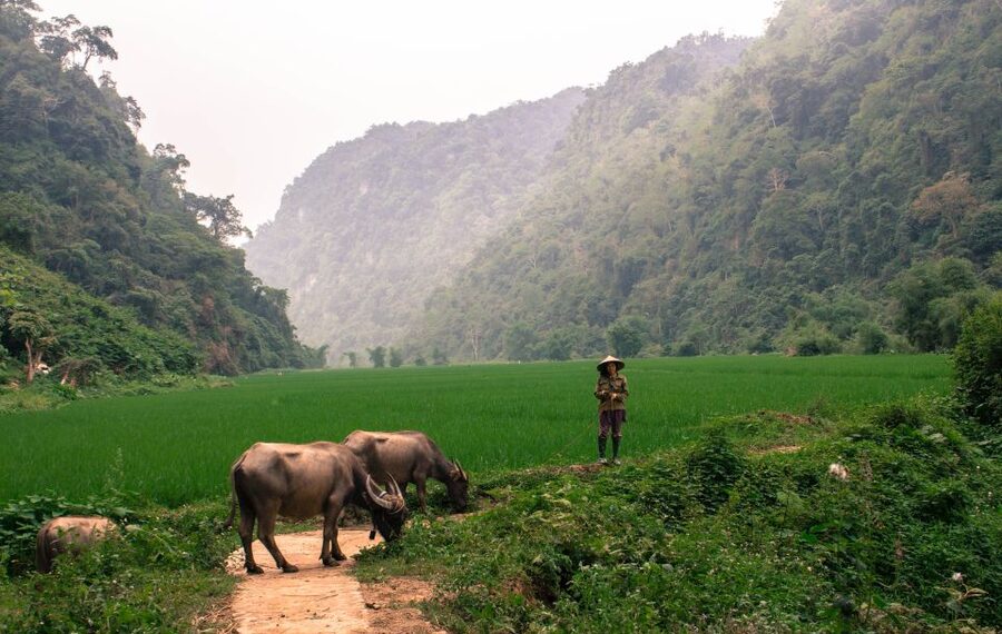 From Hanoi: 3-Day Ba Be Lake & Ban Gioc Falls Private Tour - Day 2: Ban Gioc Waterfall and the Border Feel of Cao Bang