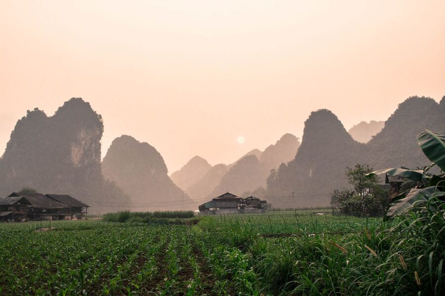 From Hanoi: 3-Day Ba Be Lake & Ban Gioc Falls Private Tour - Puong Cave and the Bat Question