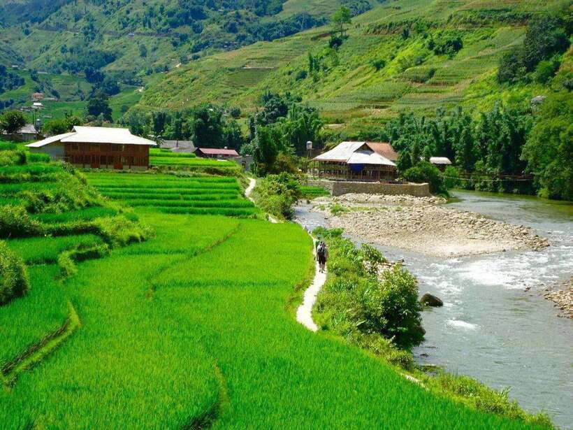 From Hanoi: 3-Day Sapa, Fansipan, Ninh Binh Tour with Meals - Food plan: included meals that reduce decision fatigue