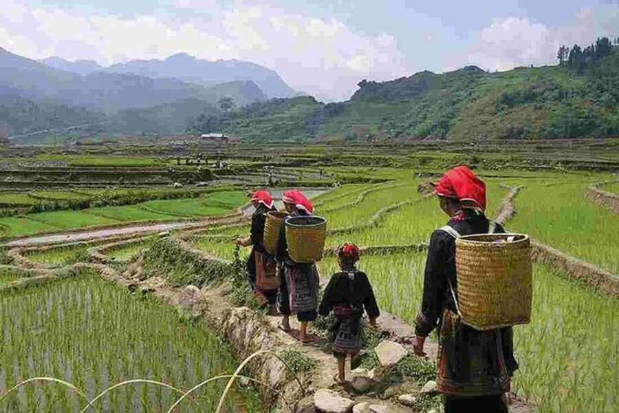 From Hanoi: 3-Day Sapa Trek with Guide, Homestay and Meals - Should you book this Sapa trek with guide, homestay, and meals?