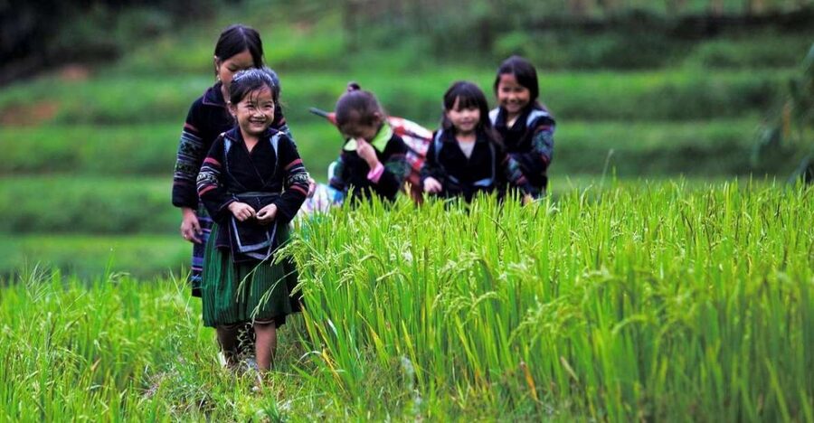 From Hanoi: 3-Day Sapa Trek with Guide, Homestay and Meals - Day 1: Hanoi to Sapa, then Cat Cat Village and a waterfall walk