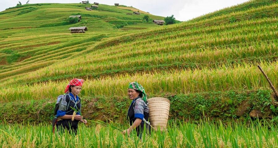 From Hanoi: 3-Day Sapa Trek with Guide, Homestay and Meals - Price and logistics: is $138 good value for what you get?