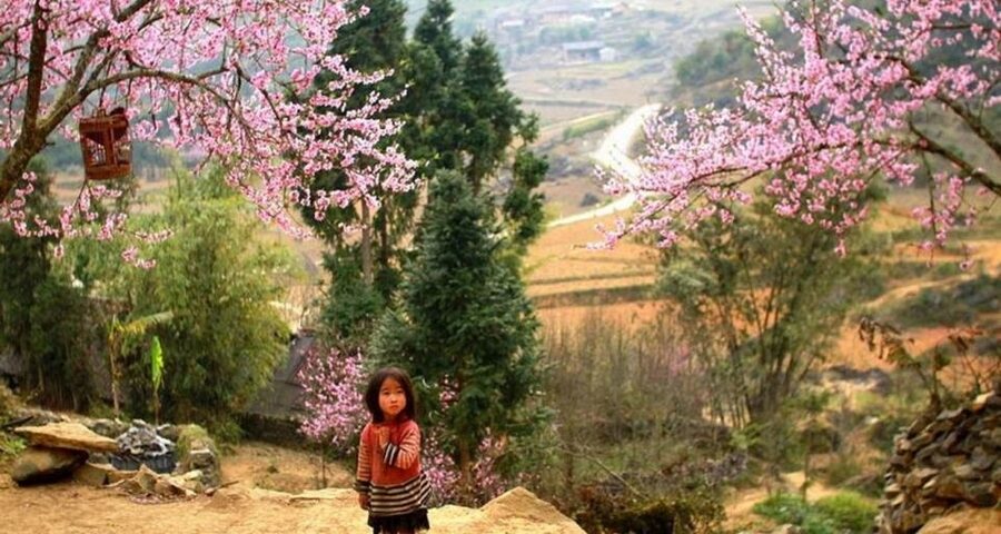 From Hanoi: 3-Day Sapa Trek with Guide, Homestay and Meals - What to bring for Sapa weather, fog, and long trail days