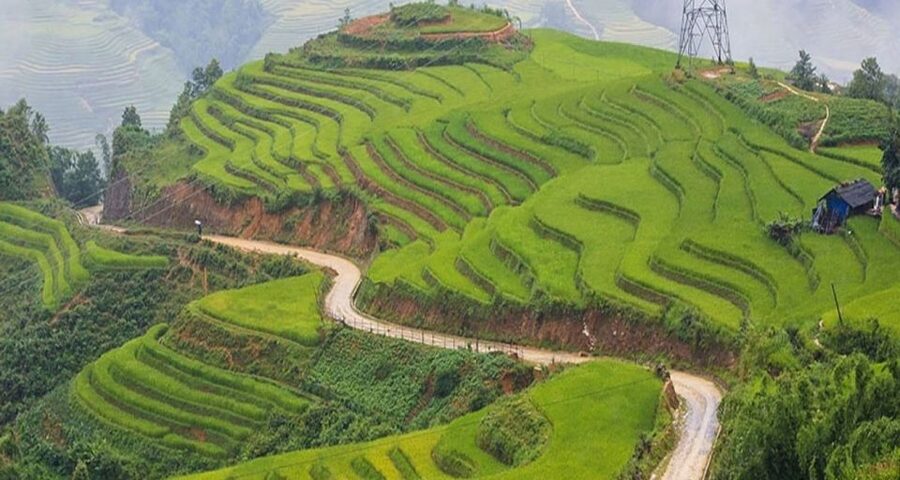 From Hanoi: 3-Day Sapa Trek with Guide, Homestay and Meals - Who should book this trek around Sapa?