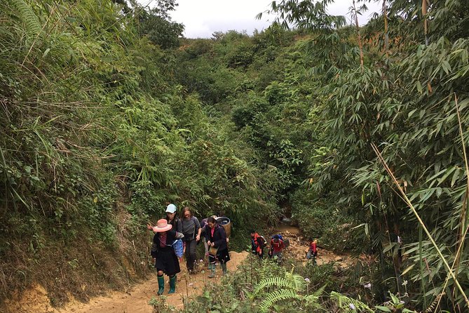 From Hanoi: 3 Days Luxury Sapa Trek & Fansipan Peak with Dcar - Is $160 worth it? Value check for Dcar and included meals