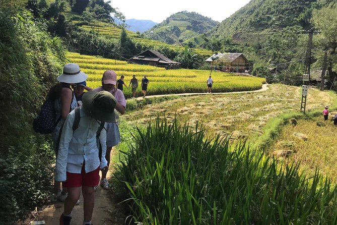 From Hanoi: 3 Days Luxury Sapa Trek & Fansipan Peak with Dcar - Hotels, meals, and group size: where the luxury shows up