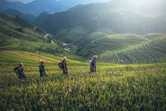 From Hanoi: 3 Days Sapa Trekking & Ethnic Villages by Dcar - Day 3 Ham Rong (Dragon’s Jaw) Mountain Hike and the Hanoi Return