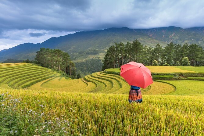 From Hanoi: 3 Days Sapa Trekking & Ethnic Villages by Dcar - Hotels, Meals, and Guides: Where You Feel the Service