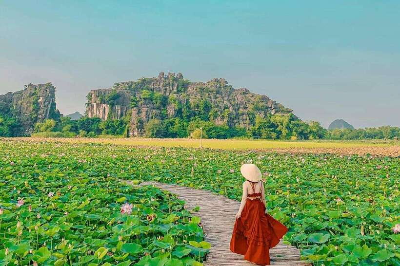 From Hanoi: 5-Day Sapa, Ninh Binh, Ha Long Bay Cruise - Lodging quality: strong on hotels and cabins, softer on buses