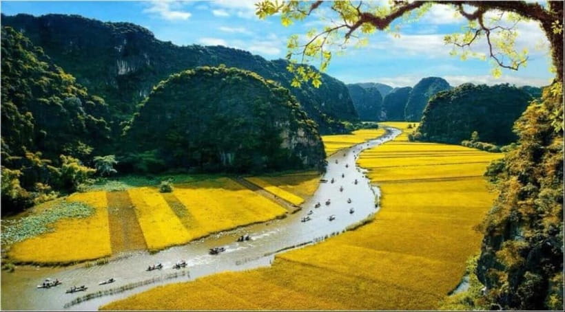 From Hanoi: Bai Dinh,Trang An and Mua Cave Trip - Pickup, timing, and group size: where the day can feel smooth or messy