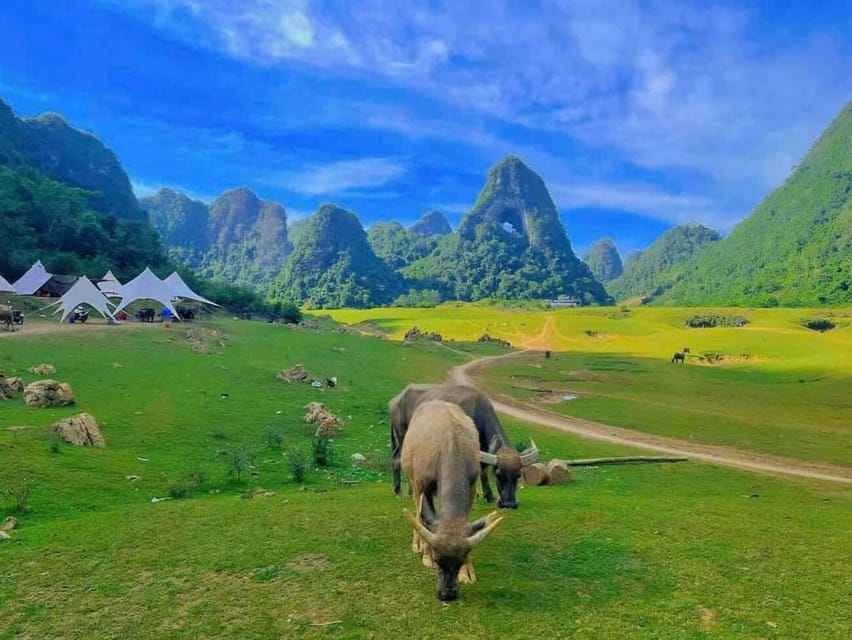 From Hanoi: Ban Gioc Waterfall 2 Day 1 Night - Small Group - Angel’s Eye Mountain (Thung Mountain): the short walk that earns its spot
