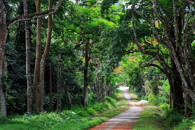 From Hanoi: Cuc Phuong National Park Day Trip by Private Car - Key highlights you should care about